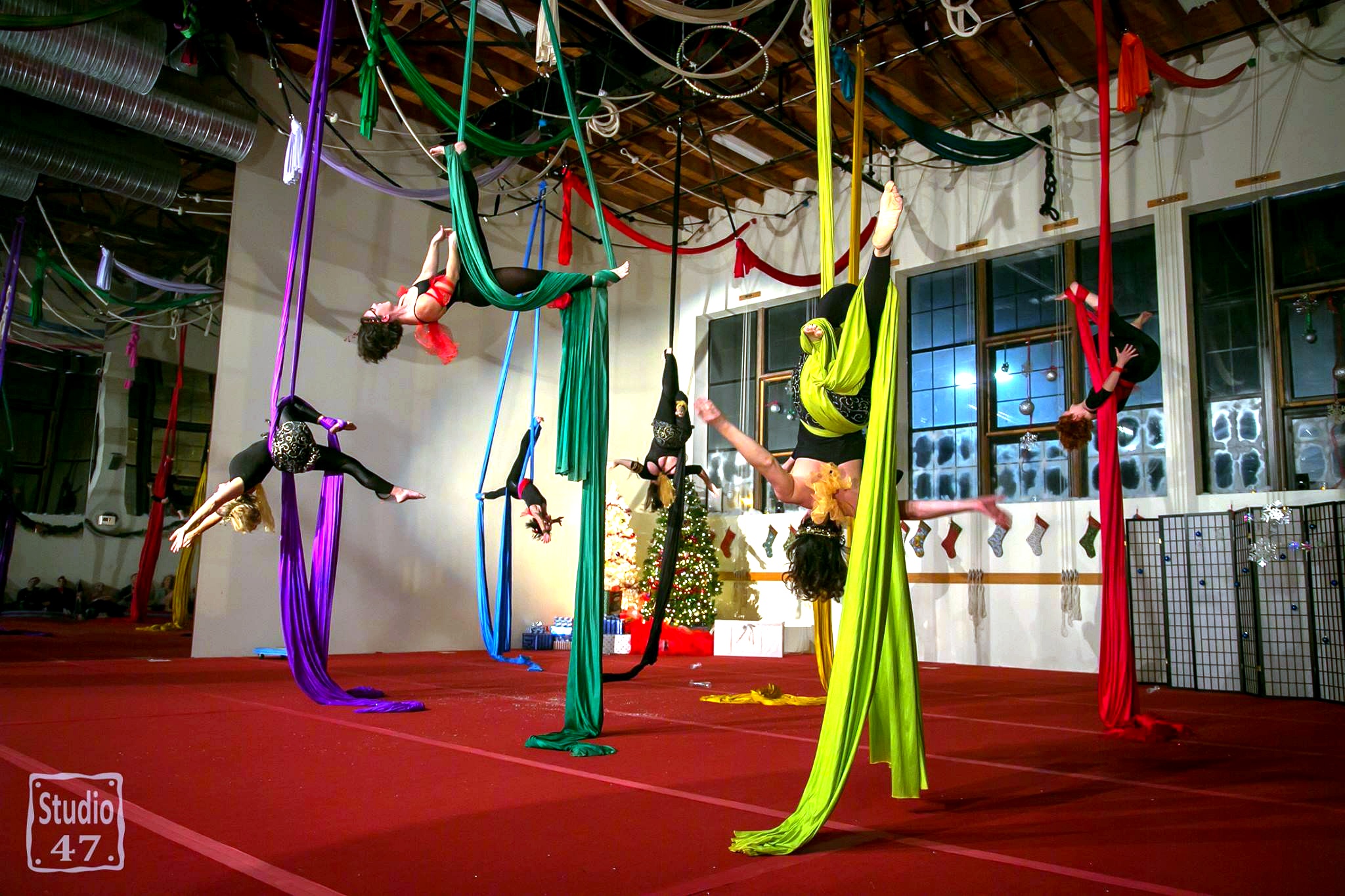 A group of aerial performers suspended upside down on brightly colored silks during a show.
